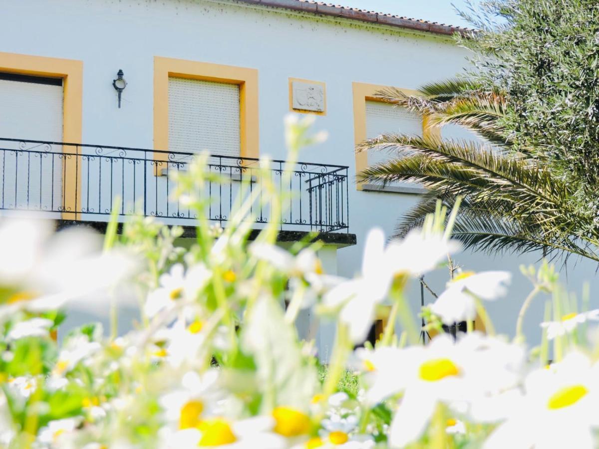Maison d'hôtes Nogueira Country House à Fundão Extérieur photo